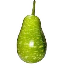 SQUASH BANGALI Ban