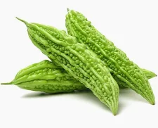 Bitter mellon karela