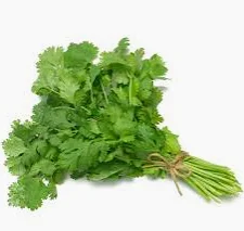CILANTRO PACK