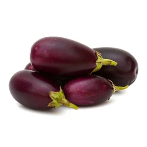 Egg Plant Indian Small