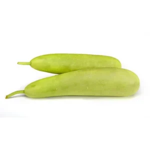 Indian squash