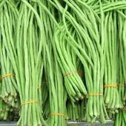 Long beans
