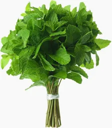 MINT PACK OF 3