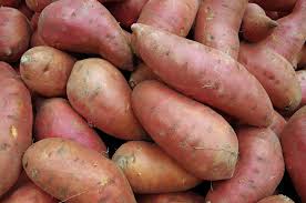 Swet potato / sakargandhi